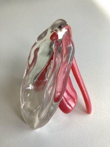 Dit is een foto van een 3D model van de clitoris. De vulva is gemaakt van doorzichtige kunststof. De clitoris is van rode kunststof. Hierdoor wordt zichtbaar dat de clitoris inwendig veel groter is dan uitwendig.