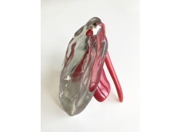 3D clitoris - met lesbrief middelbaar beroepsonderwijs (mbo)